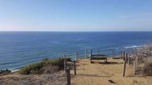 Torrey Pines in La Jolla, San Diego, California