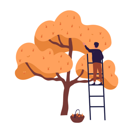 illustration of someone on a ladder picking apples
